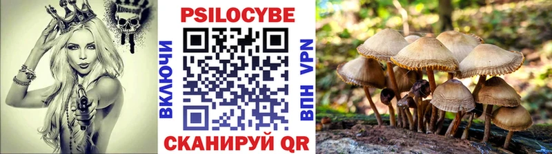 МЕГА ссылка  Называевск  Псилоцибиновые грибы прущие грибы 